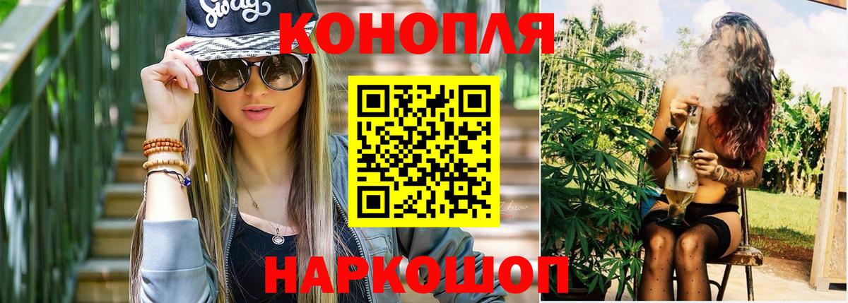 Бошки марихуана конопля Нововоронеж